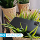 Imagen para el artículo titulado El Asus Zenfone 8 es un Android bestial con el corazón de un gama alta de 2021 y el tamaño de un móvil de 2016